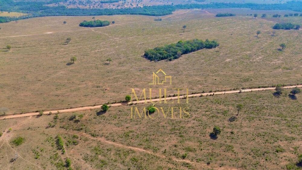 Fazenda, 975 hectares - Foto 15