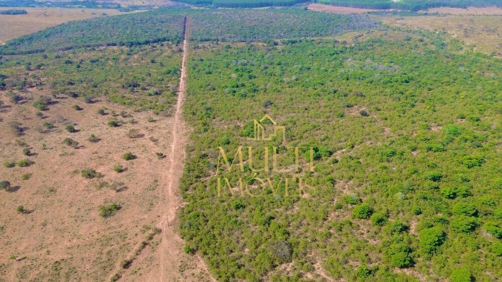 Fazenda, 975 hectares - Foto 9