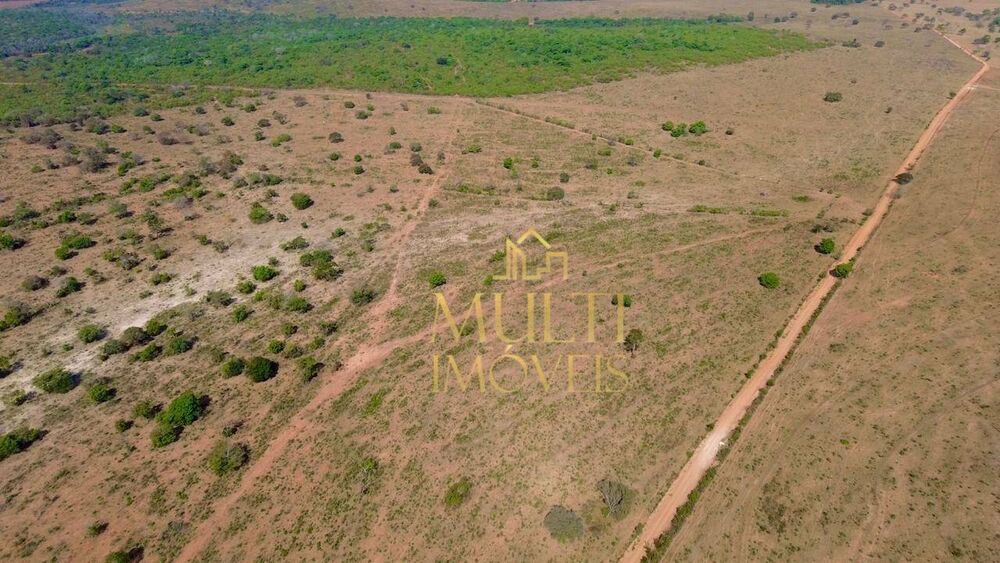 Fazenda, 975 hectares - Foto 12