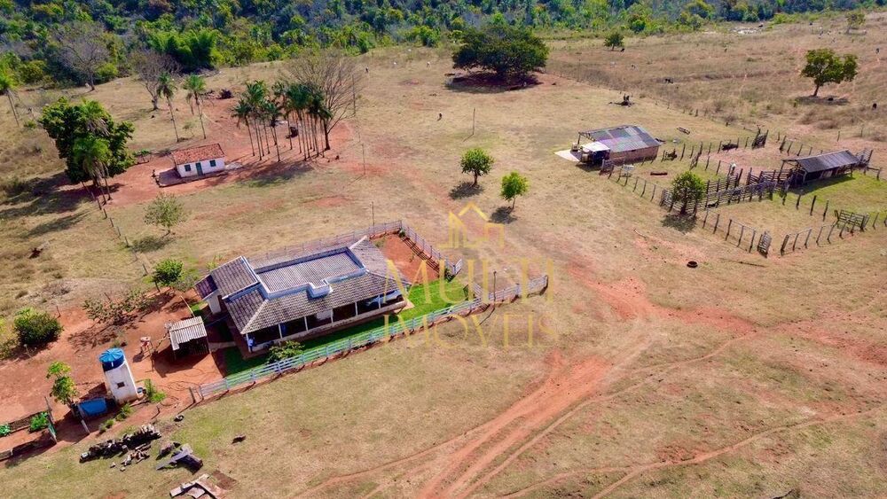 Fazenda, 975 hectares - Foto 7
