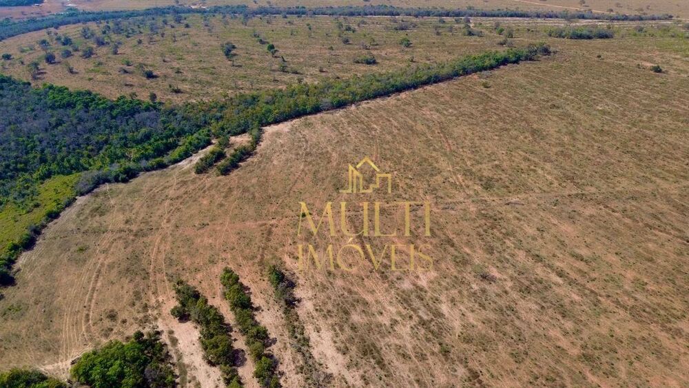 Fazenda, 975 hectares - Foto 11