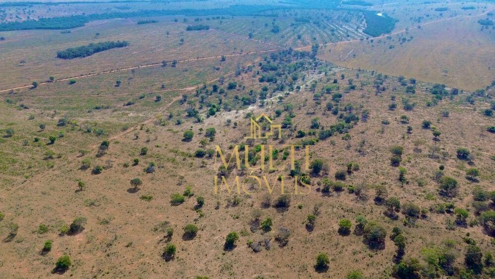 Fazenda, 975 hectares - Foto 14