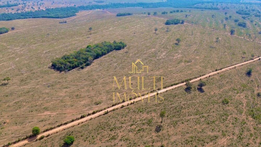 Fazenda, 975 hectares - Foto 16