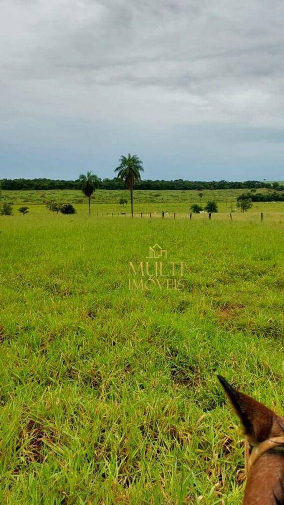 Fazenda à venda, 1500000M2 - Foto 1