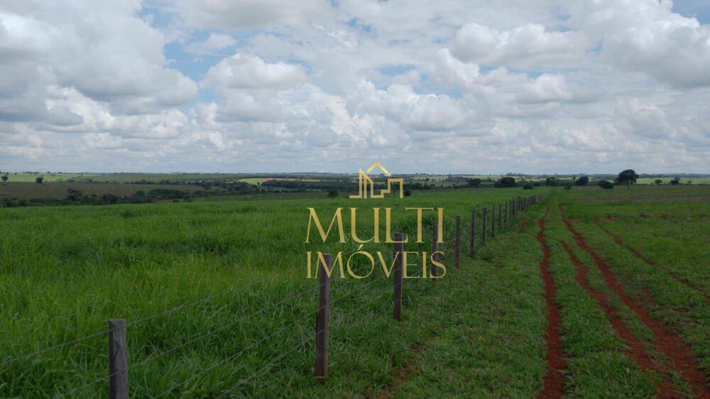 Fazenda, 242 hectares - Foto 9