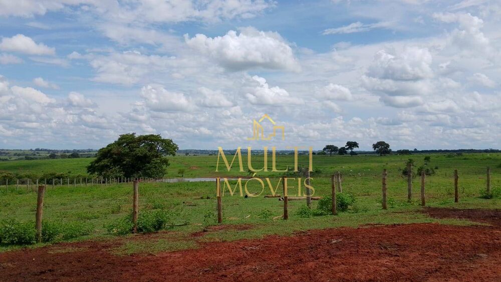 Fazenda, 242 hectares - Foto 3