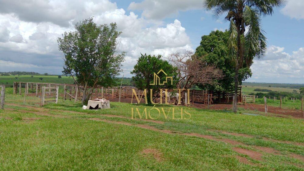 Fazenda, 242 hectares - Foto 2