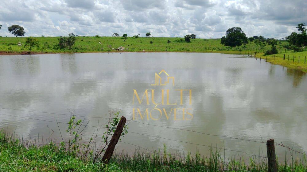 Fazenda, 242 hectares - Foto 7
