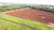 Fazenda, 646 hectares - Foto 2
