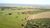 Fazenda, 646 hectares - Foto 3