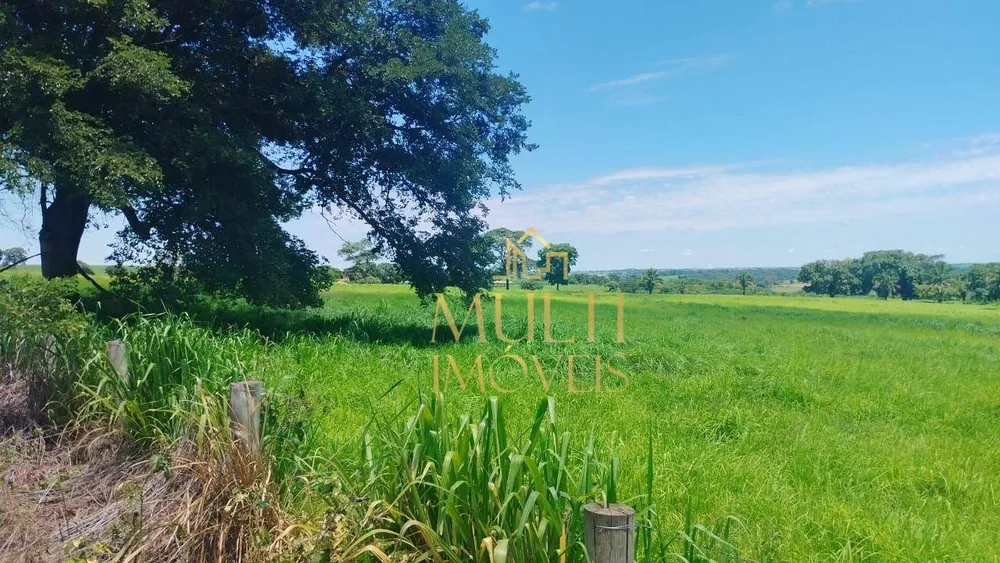 Fazenda, 138 hectares - Foto 4
