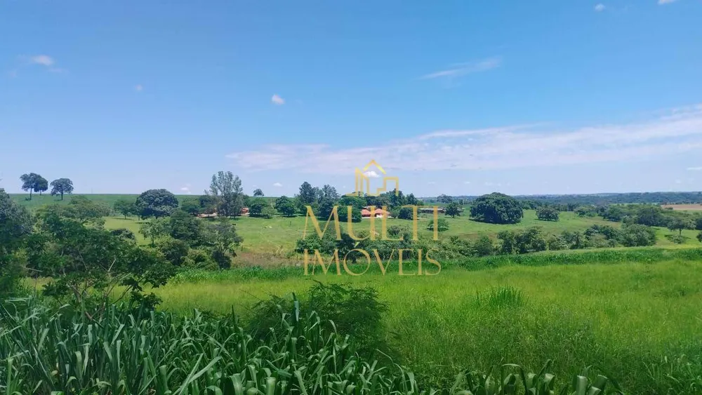Fazenda, 138 hectares - Foto 3