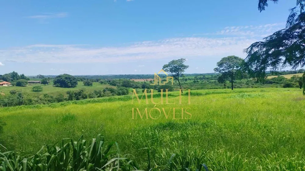 Fazenda, 138 hectares - Foto 1