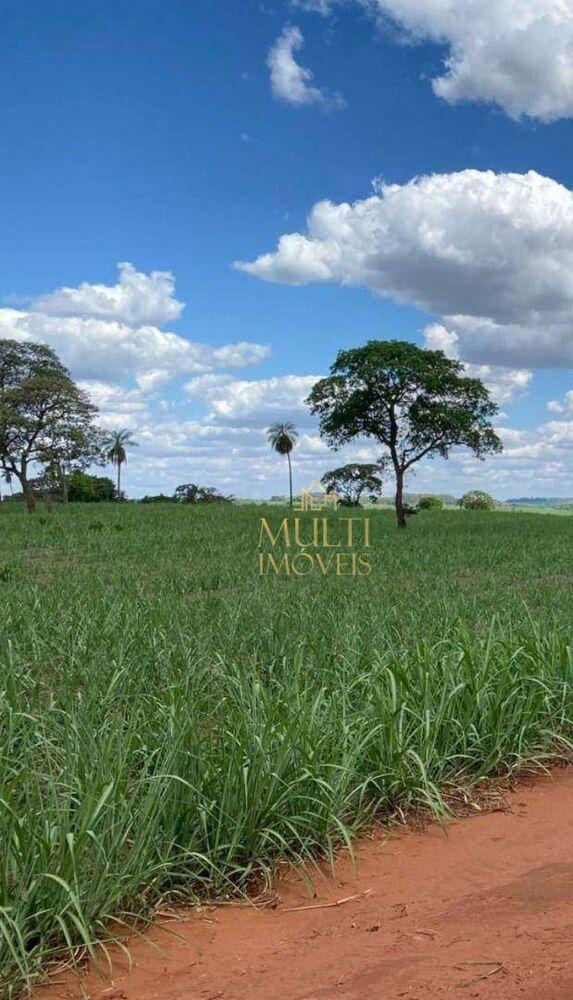 Sítio, 47 hectares - Foto 1