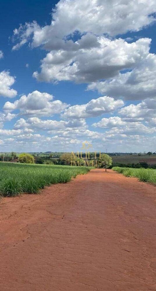 Sítio, 47 hectares - Foto 2