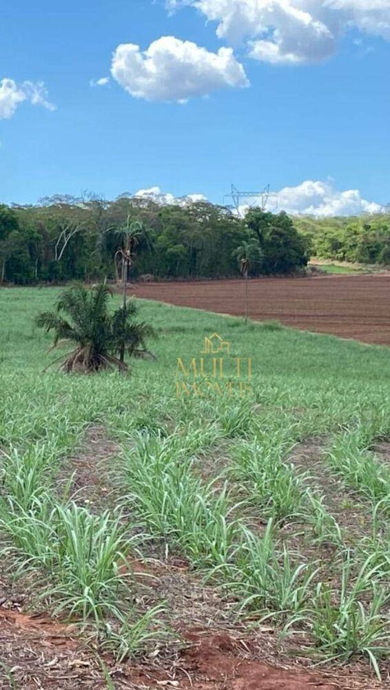 Sítio, 47 hectares - Foto 4