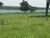 Sítio, 106 hectares - Foto 1