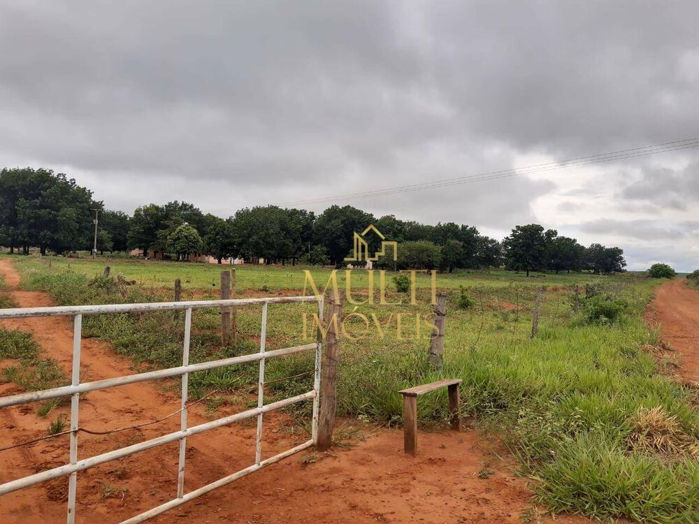 Sítio, 73 hectares - Foto 10