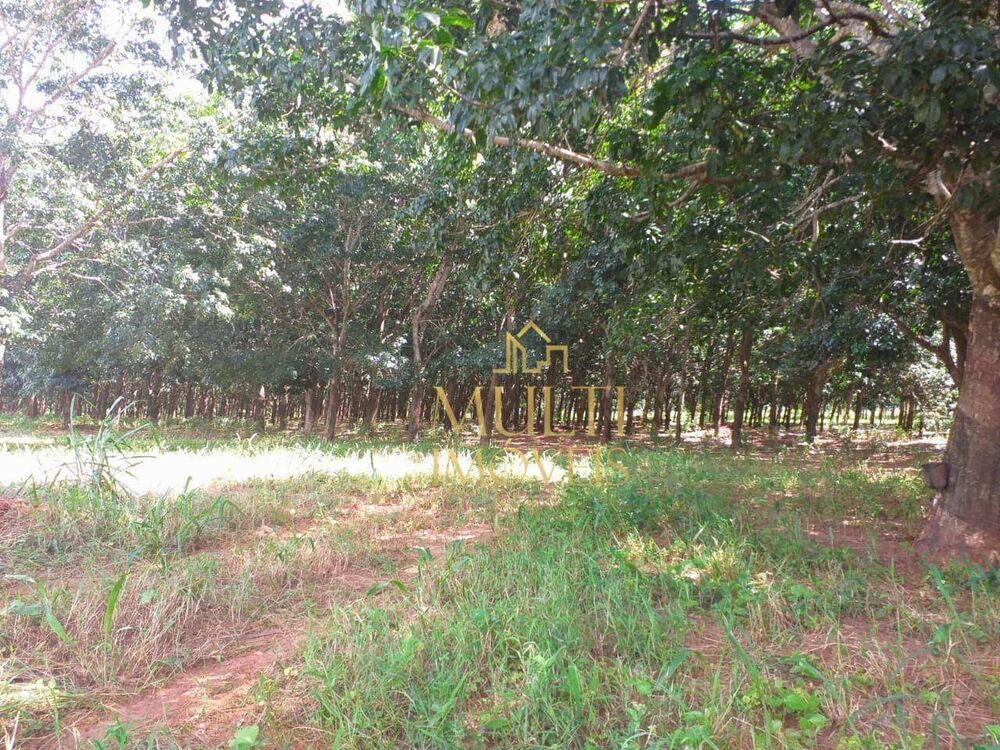 Sítio, 73 hectares - Foto 2