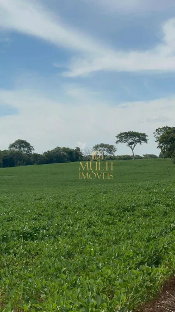 Fazenda, 36 hectares - Foto 3