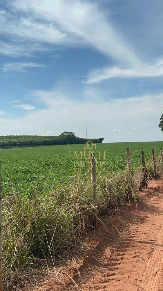 Fazenda, 36 hectares - Foto 1