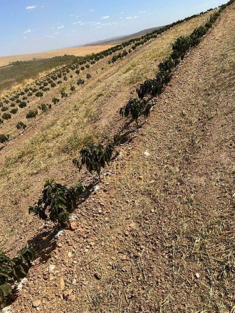 Fazenda à venda, 3200000M2 - Foto 14