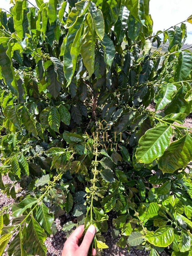 Fazenda à venda, 3200000M2 - Foto 4