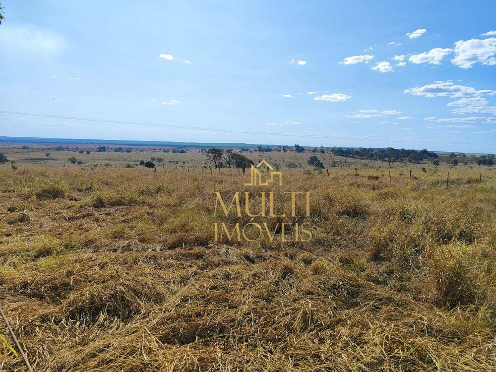 Fazenda, 298 hectares - Foto 7