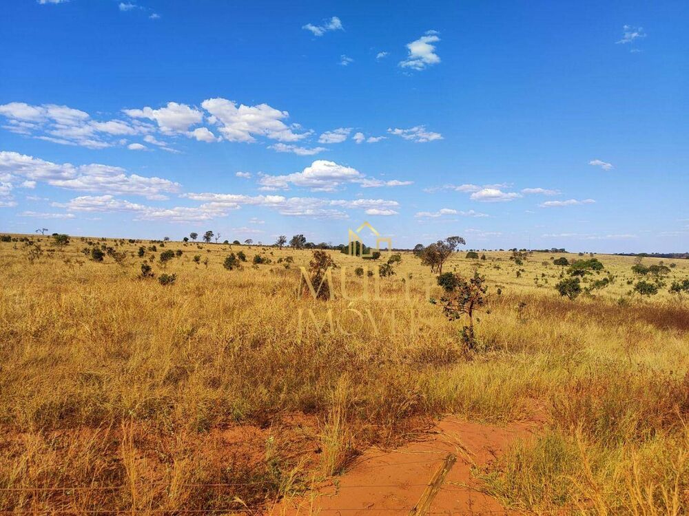 Fazenda, 298 hectares - Foto 11