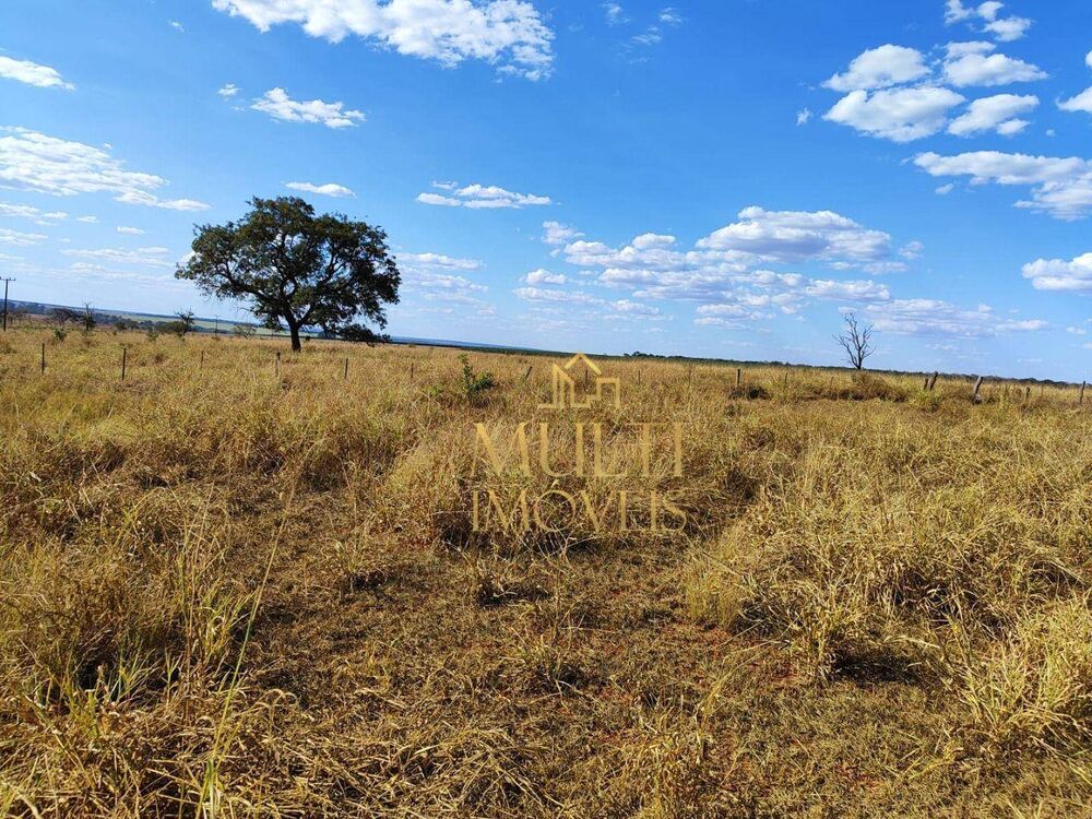 Fazenda, 298 hectares - Foto 20