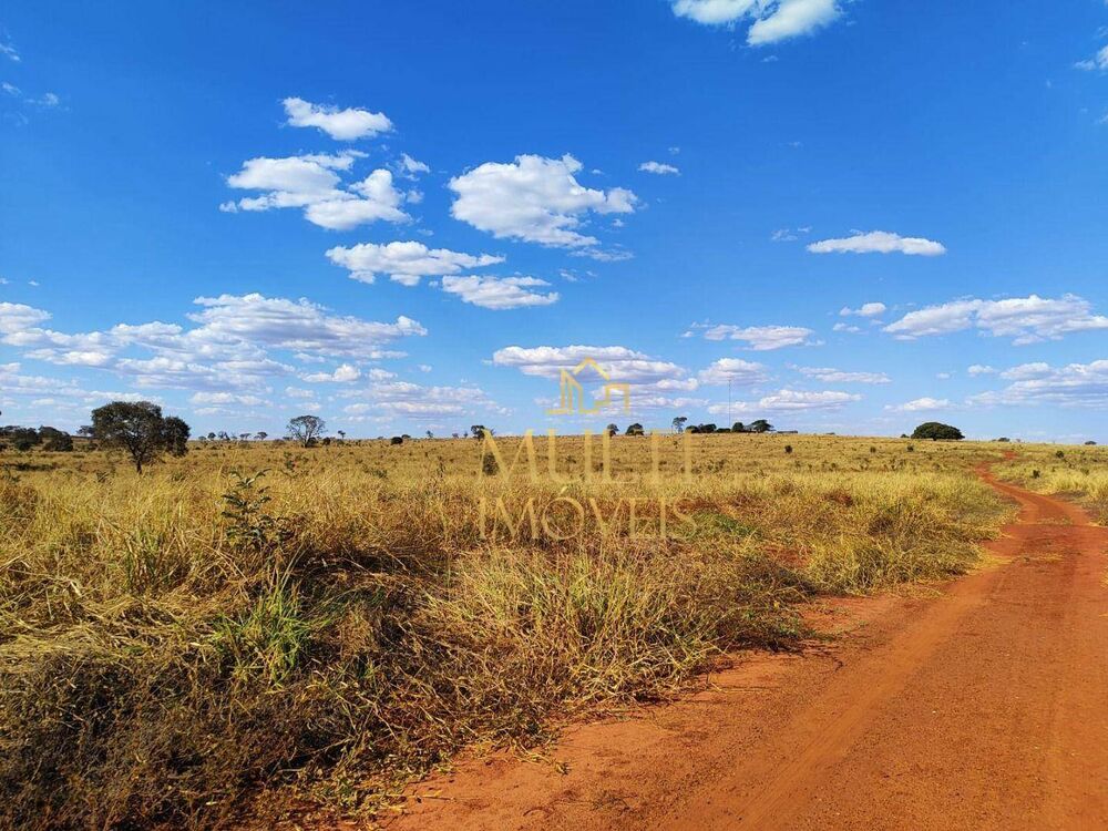 Fazenda, 298 hectares - Foto 8