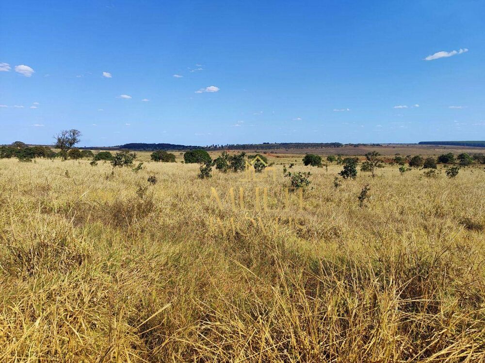 Fazenda, 298 hectares - Foto 17