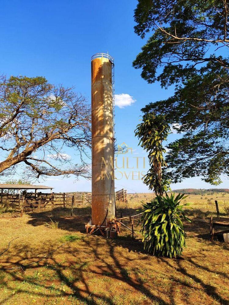 Fazenda, 298 hectares - Foto 3