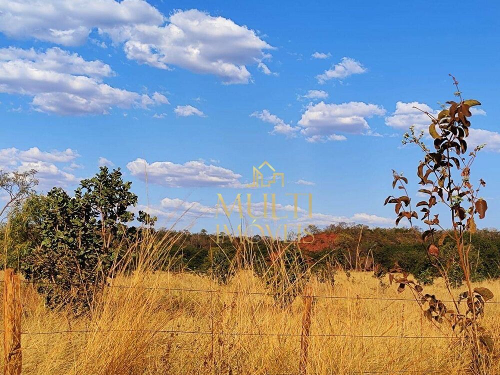 Fazenda, 298 hectares - Foto 4