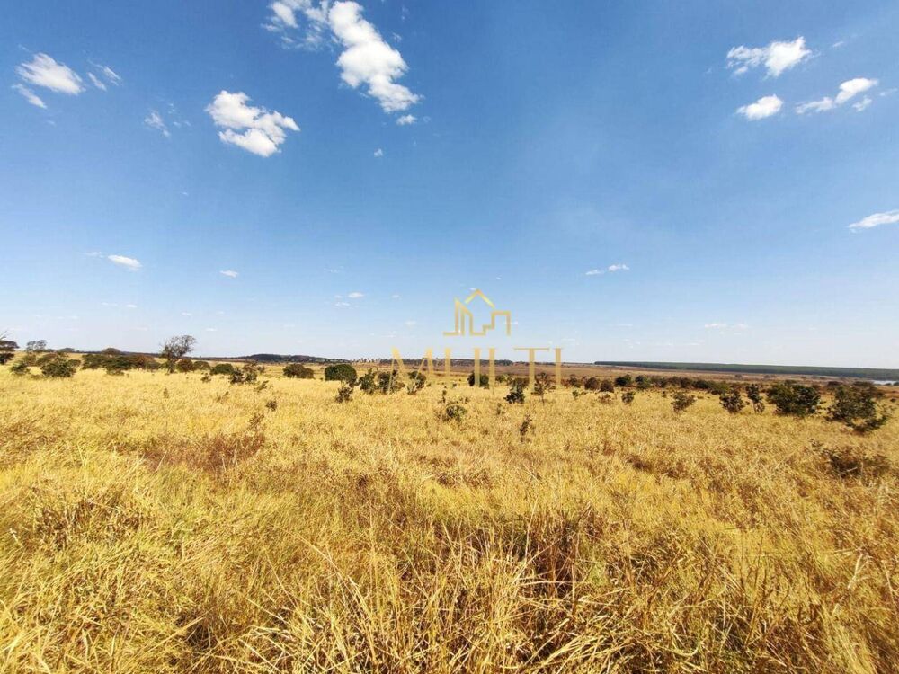 Fazenda, 298 hectares - Foto 13