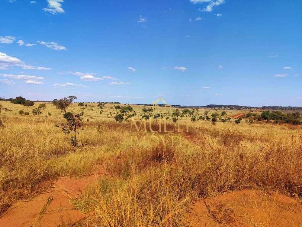 Fazenda, 298 hectares - Foto 12