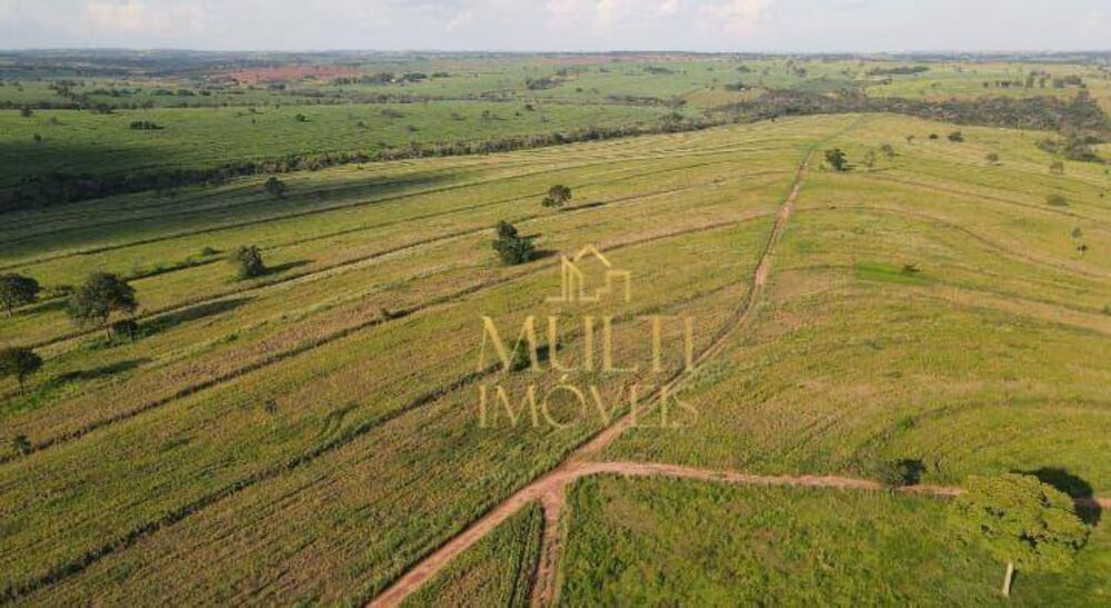 Fazenda, 540 hectares - Foto 4