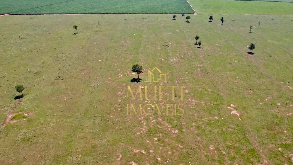 Fazenda-Sítio-Chácara, 174 hectares - Foto 4