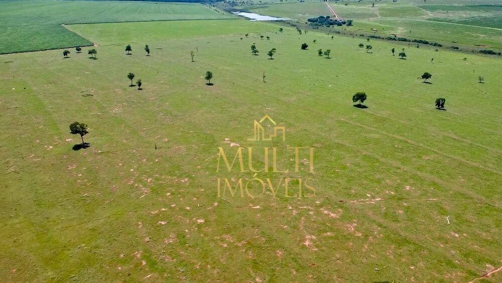 Fazenda-Sítio-Chácara, 174 hectares - Foto 2