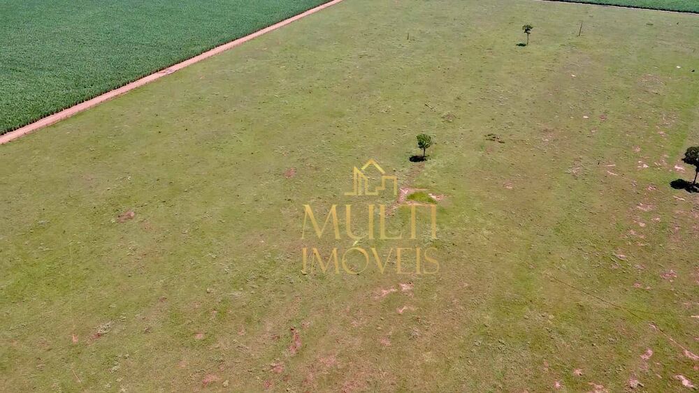 Fazenda-Sítio-Chácara, 174 hectares - Foto 3