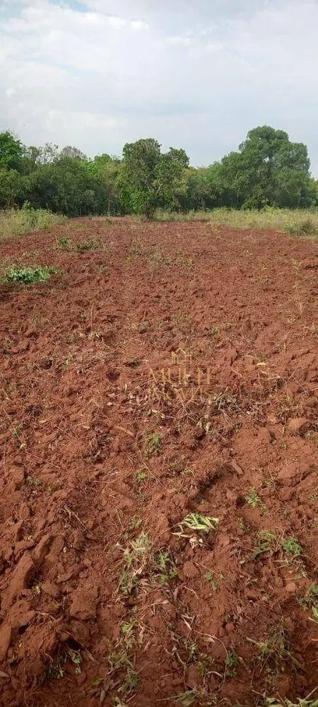 Fazenda, 457 hectares - Foto 4