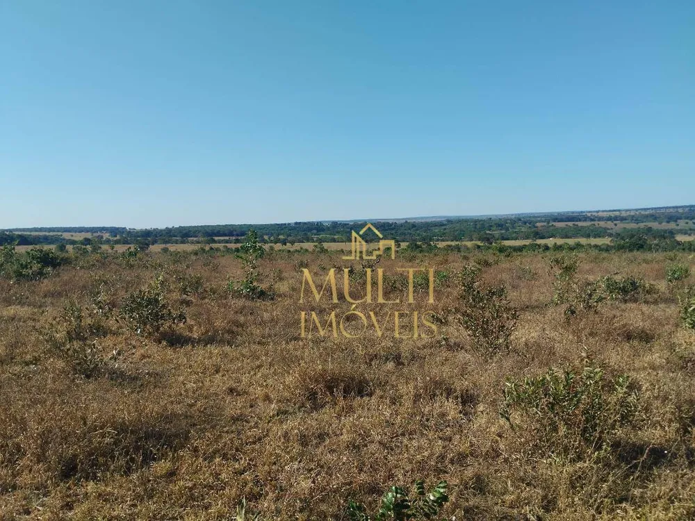 Fazenda, 457 hectares - Foto 1