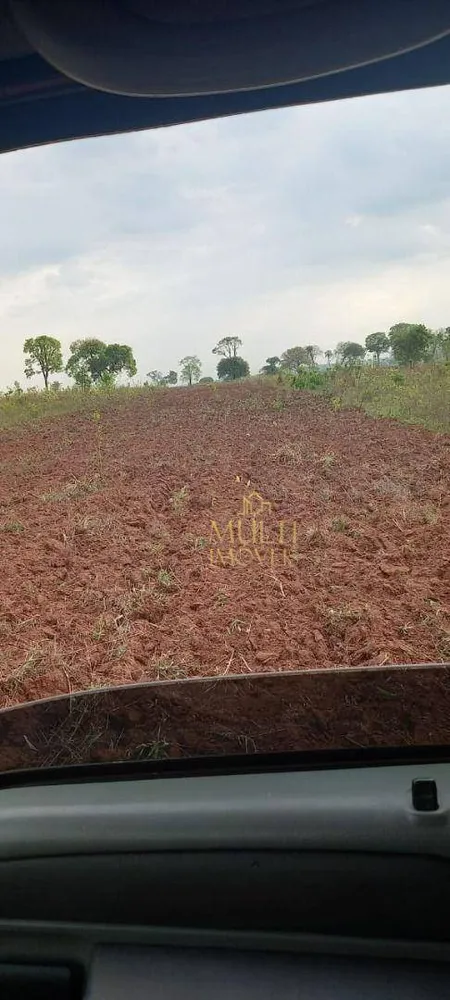 Fazenda, 457 hectares - Foto 3