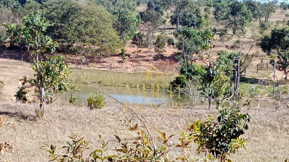 Fazenda, 242 hectares - Foto 4