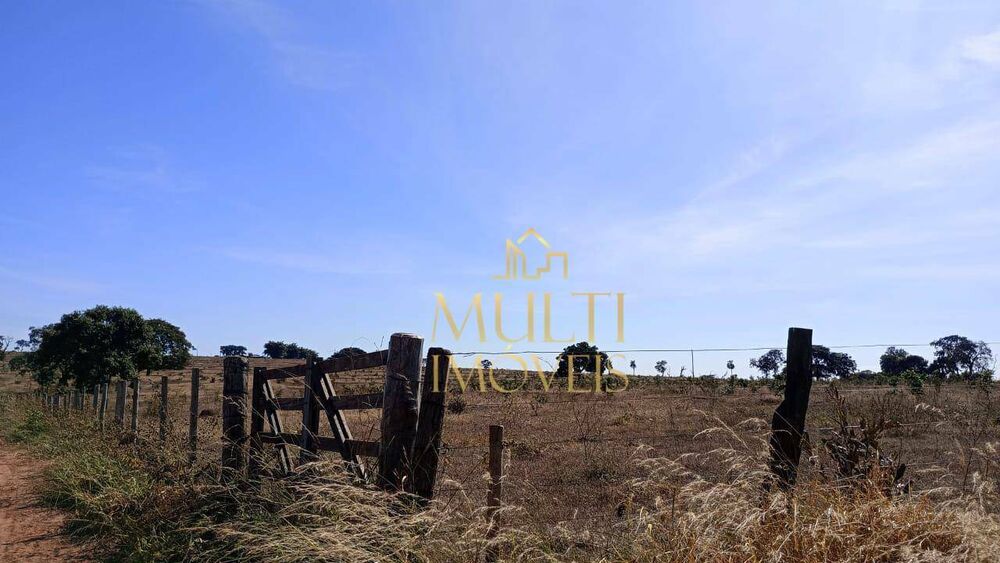 Fazenda, 242 hectares - Foto 3