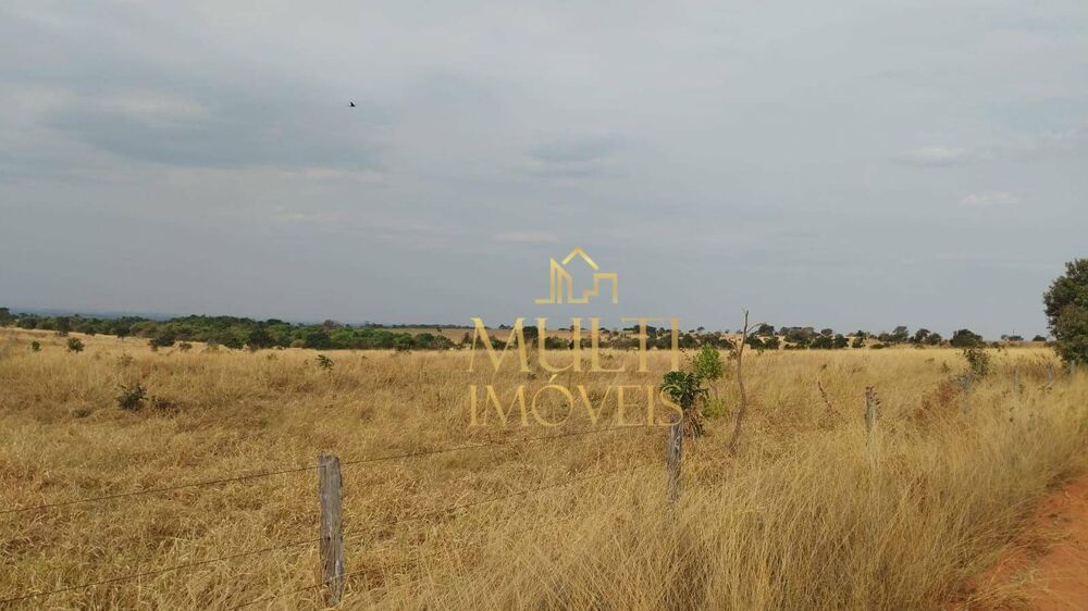 Fazenda, 242 hectares - Foto 2