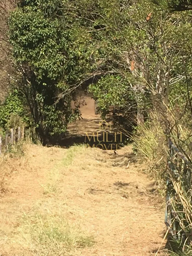 Sítio, 18 hectares - Foto 4
