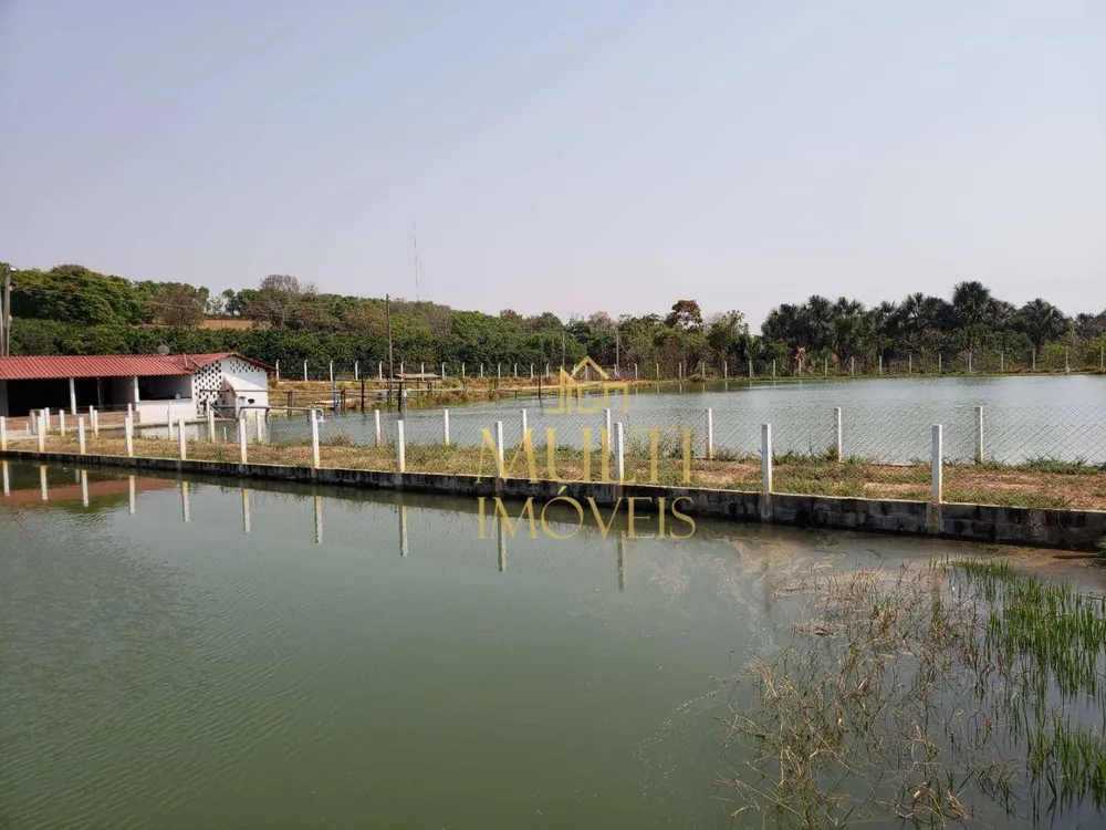 Fazenda, 121 hectares - Foto 4
