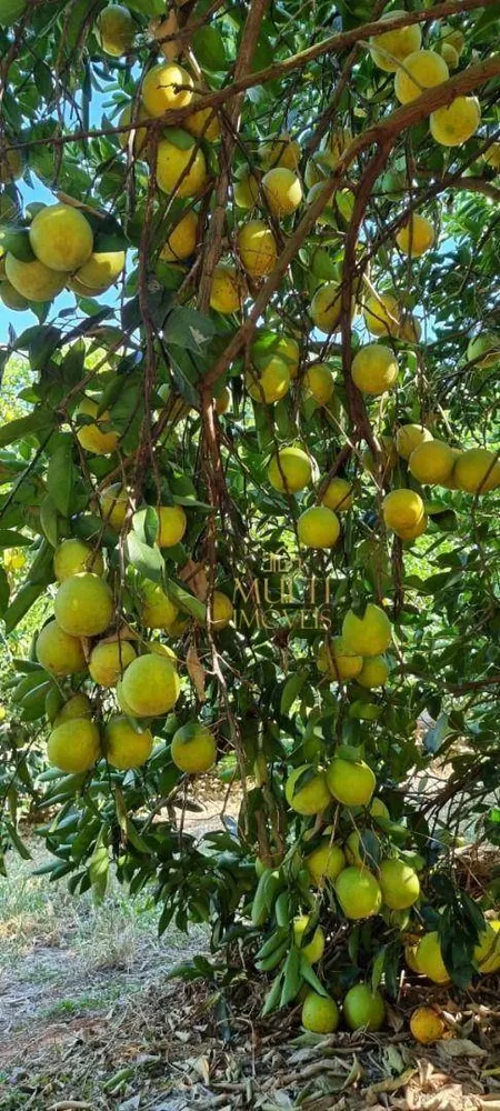 Fazenda, 121 hectares - Foto 1