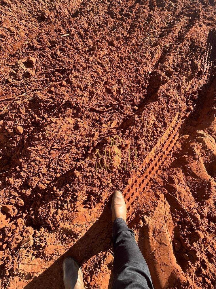 Fazenda-Sítio-Chácara, 235 hectares - Foto 7